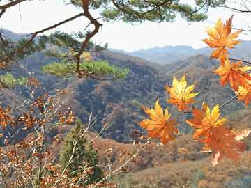 苏盐井神：11月20日融券卖出500股，融资融券余额2.18亿元