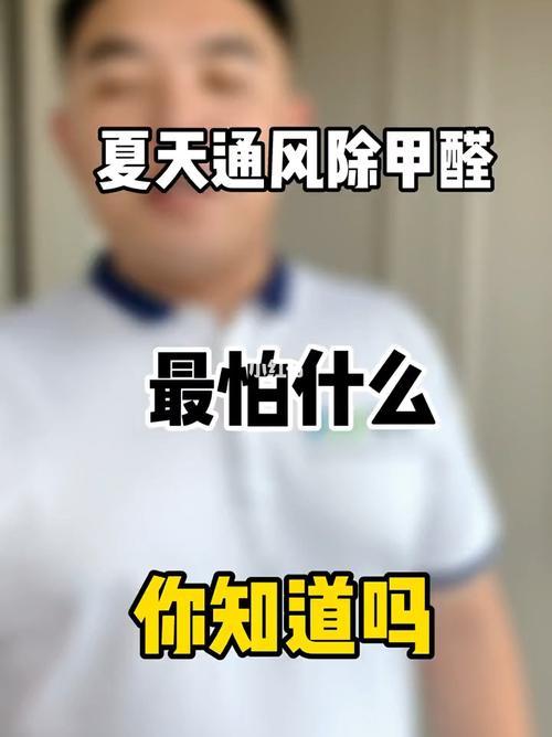 夏天甲醛超标已入住怎么办呀